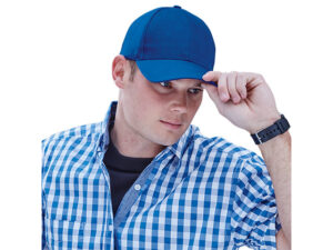 6 Panel Raven Cap