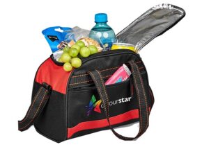 Altitude Brisk 9-Can Cooler