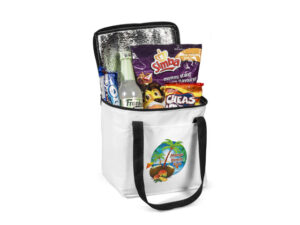 Arctic 12-Can Cooler