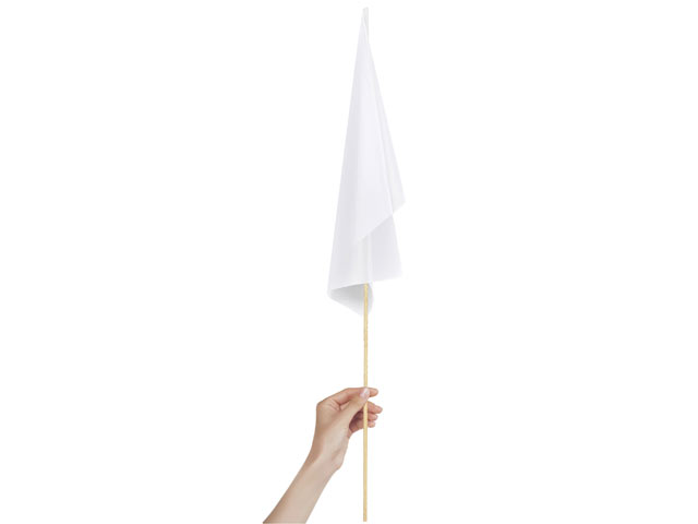 Champion Medium Hand Flag 450 X 300Mm - Image 2