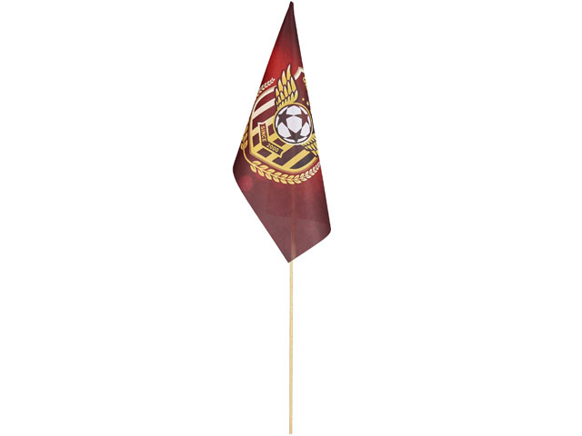 Champion Medium Hand Flag 450Mm X 300Mm