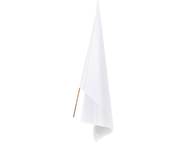 Champion Standard Hand Flag - 180Cm X 120Cm - Image 2