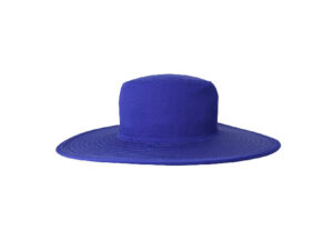 Collapsible Cricketer Hat