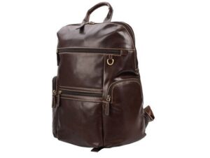Day Tripper Back Pack
