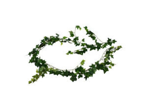 Ivy Sml Leave Green Garland 2M