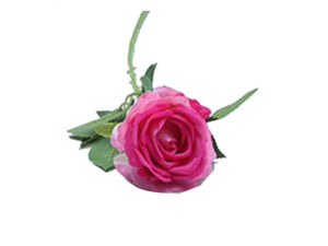 Open Lrg Rose Pink 50Cm
