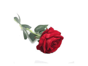 Rose Bud Red 50Cm