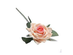 Rose Stem Orange 60Cm