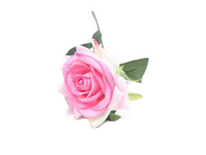 Rose Stem Pink 60Cm