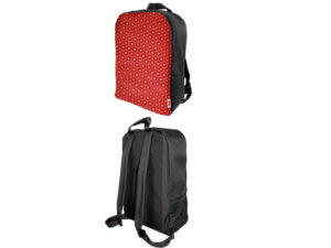 Shweshwe Back Pack