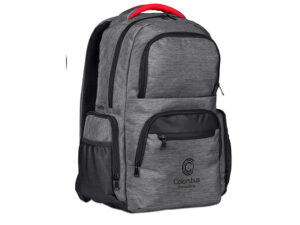 Swiss Cougar Valletta Laptop Backpack