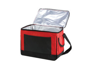 The Pioneer 12 can cooler
