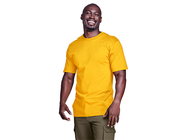 160G Wise-Buy 100 Percent Cotton T-Shirt Promo Fit