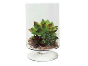 Ftd Cylinder 26X20Cm
