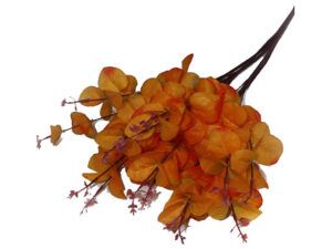 Pennygum Orange 50Cm