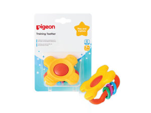 Pigeon -Training Teether Step 2