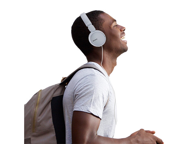 Sony Mdr-Zx110 Headphones Earphone Foldable
