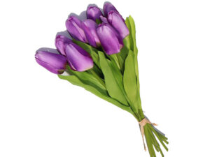 Tulip Bunch Purple 35Cm