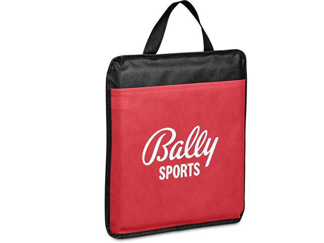 Altitude Arena Stadium Cushion