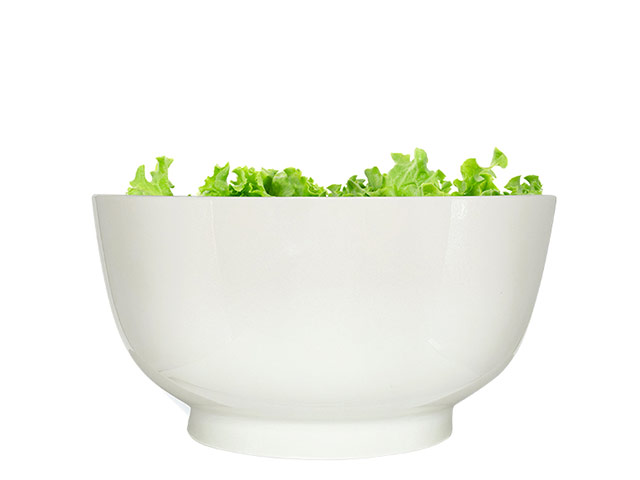 Nova New Bone Bowl 20 Cm